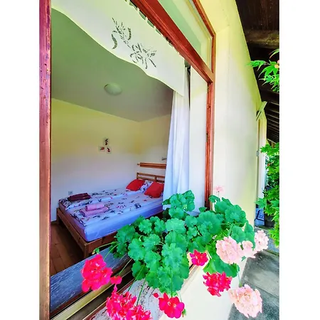 Apartma Stanka 아파트