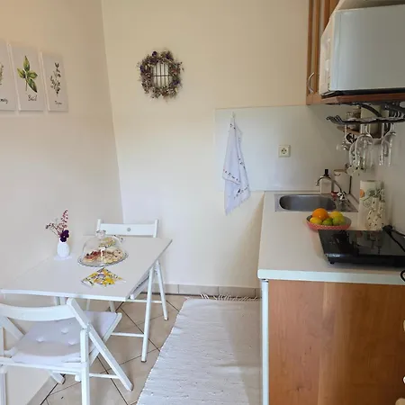 Apartma Stanka *